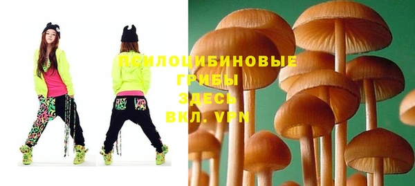 mdma Горняк