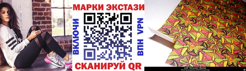 купить наркотик  Новотитаровская  ОМГ ОМГ ТОР  Марки NBOMe 1,5мг 