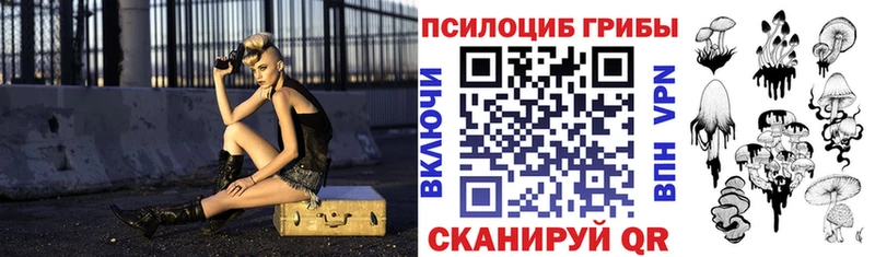Галлюциногенные грибы Psilocybine cubensis  купить наркоту  Новотитаровская 
